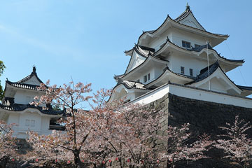 上野城