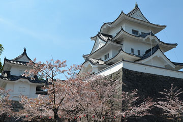 Ueno Castle