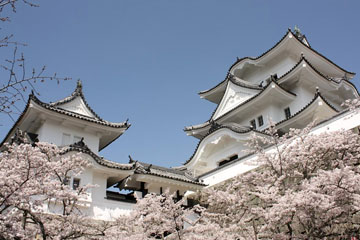 Ueno Castle